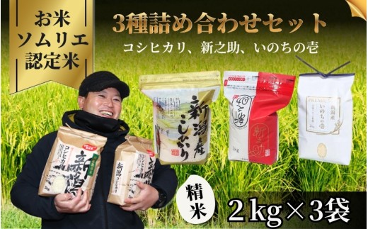 【先行予約】令和8年産 3種詰め合わせセット（コシヒカリ2kg、新之助2kg、いのちの壱2kg） | 新潟産コシヒカリ 新潟県産コシヒカリ 新潟県産こしひかり 米 お米 こしひかり 白米 精米 ブランド米  新潟県 五泉市 エバーグリーン農場