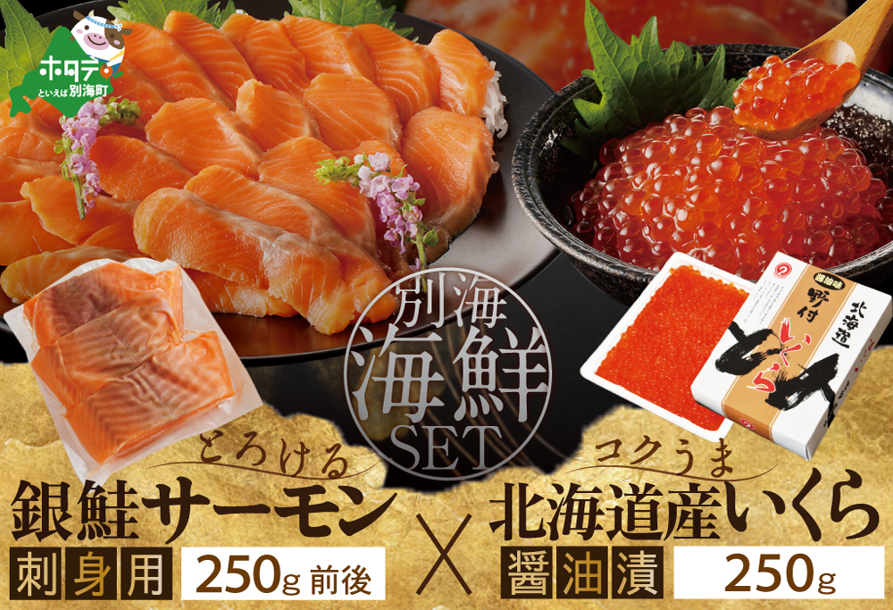 サーモン ･ いくら 海鮮セット 刺身用サーモン 250g + 北海道産醤油いくら250g【BT000KBNQ】_イメージ1