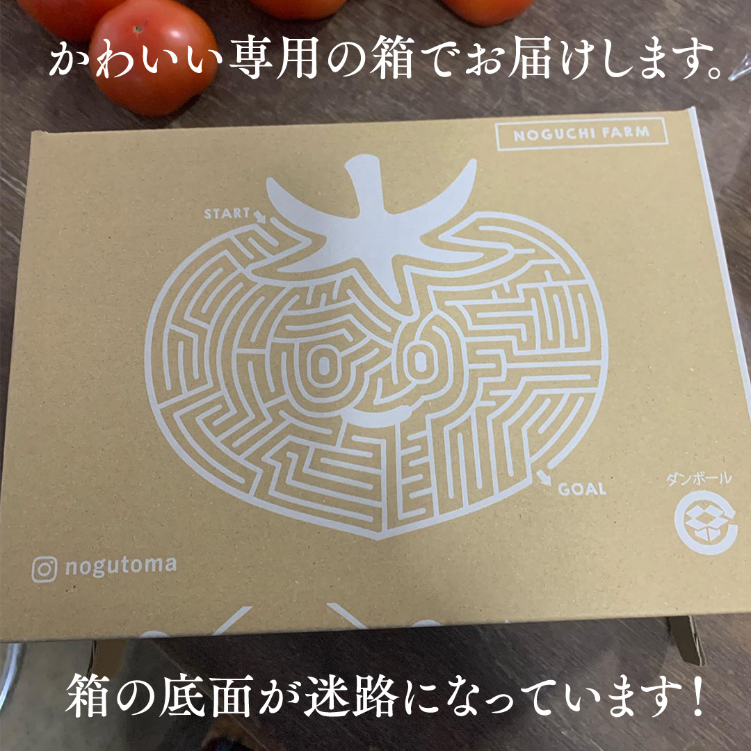 野口農園 ！ ぜいたくトマト（2kg）と華クイン（1.4kg） トマ