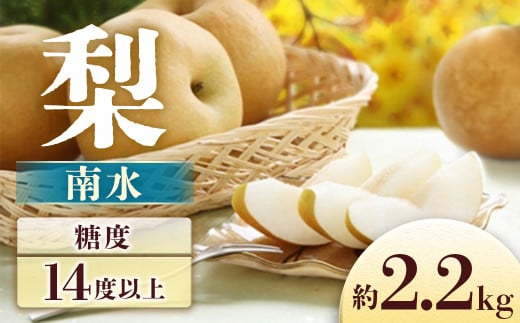 【2026年発送先行予約】 梨　南水 約2.2㎏　※2026年9月中旬～発送予定※