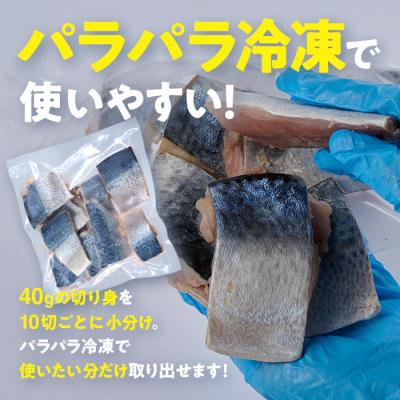 ふるさと納税 佐伯市 <定期便・全3回 (隔月)>訳あり・さば 切り身 (総計約7.2kg・40g前後×180切) |  | 03