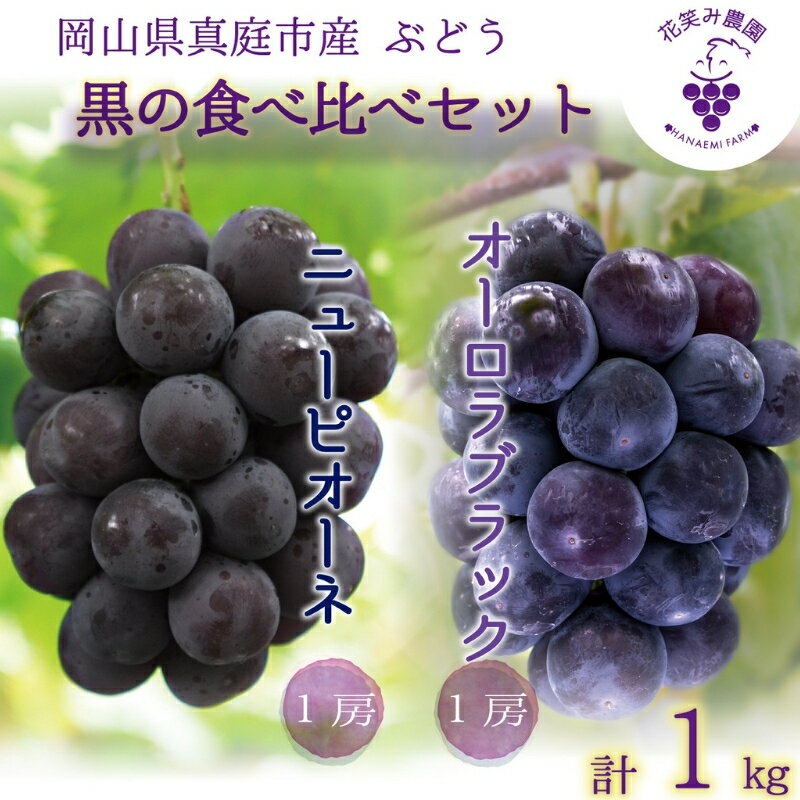 【ふるさと納税】 岡山　花笑み農園の『ニューピオーネ&オーロラブラック』1kg(2房) PA-1 hana32【2025年9月上旬〜順次発送】【配送不可地域：離島】真庭 国産 産地直送 フルーツ 葡萄 ぶどう ブドウ 果物 贈答 ギフト 食べ比べ 甘い おすすめ 先行予約 人気【1393969】