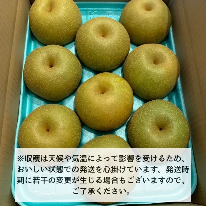幸水 3kg箱
