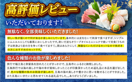 【季節ごとに旬の鮮魚を切り身でお届け】五島産高級鮮魚セット 3~4kg加工済み高級 鮮魚 三枚おろし あら 真空パック おまかせ 旬 刺身 レシピ付き 長崎　　　 五島市マルセイ水産 [PBT001]
