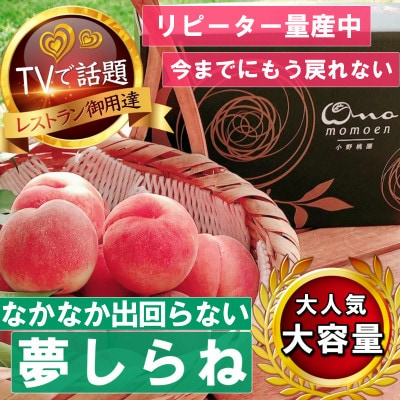 
            ＜全国桃グランプリ金賞夢しらね＞滅多にお目にかかれない4年連続TV出演話題ブランド2025年7月下旬【1465306】
          