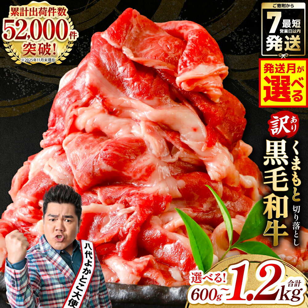 【ふるさと納税】 訳あり 黒毛和牛 牛肉 切り落とし 小分け パック 冷凍 600g〜1.2kg くまもと黒毛和牛【選べる内容量・発送月】 霜降り 部位ミックス 毎月数量限定 限定 国産牛 ブランド牛 国産 黒毛和牛 お肉 牛 牛肉 7営業日以内に発送 ＼ スピード発送 ／ 送料無料
