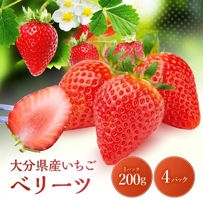 【先行予約】大分県ブランド いちご ベリーツ 約 800g ( 200g×4パック ) | 苺 イチゴ いちご ベリー フルーツ 果物 くだもの 大分県産 産地直送 九州産 国産 大分県 中津市