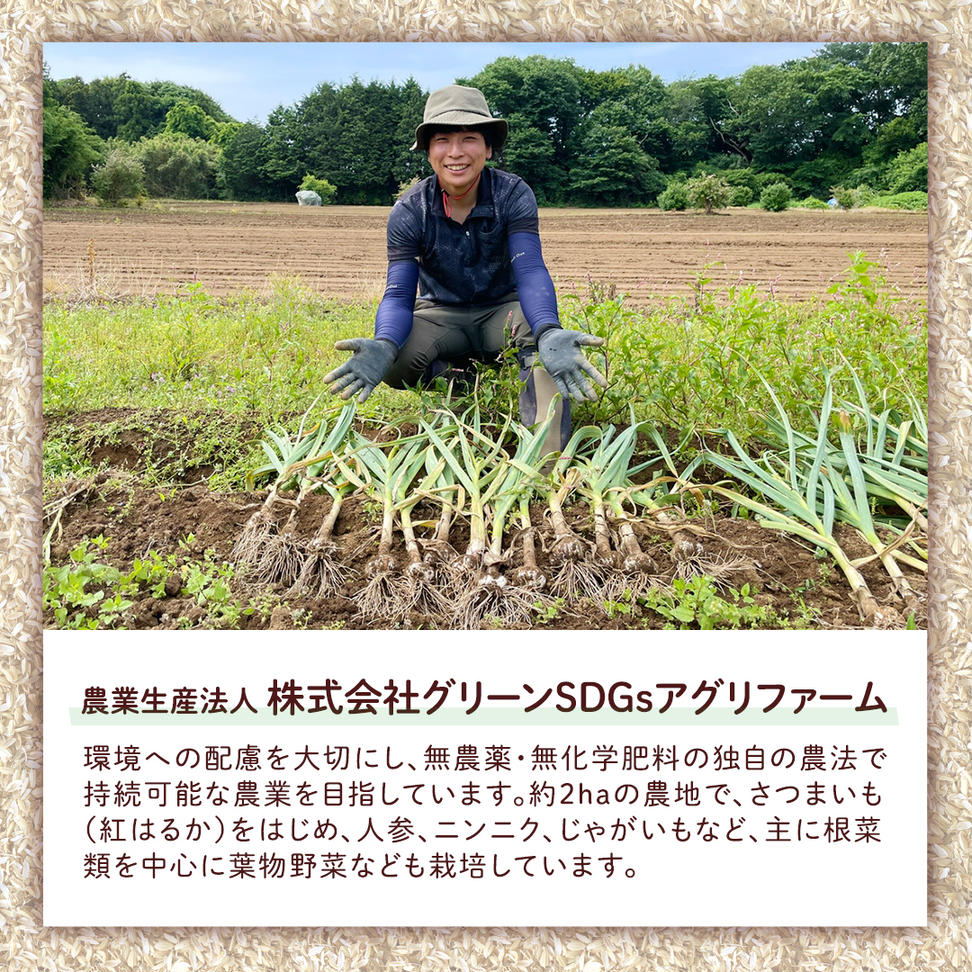 茨城県産 紅はるか 5kg 土付き 無選別 熟成 さつまいも 生芋 