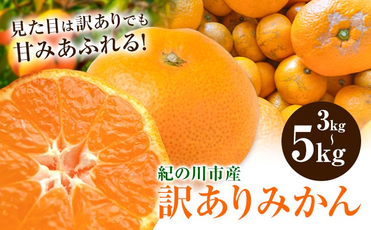 
                  訳ありみかん 選べる内容量 3kgまたは 5kg こだまファーム《10月中旬-2月下旬頃出荷》和歌山県 紀の川市 みかん ミカン 柑橘 果物 フルーツ 訳あり 訳アリ ご家庭用 和歌山県産
                