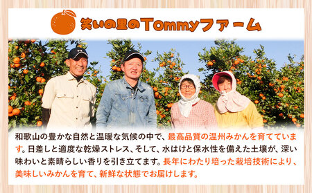 【先行予約】秀品 贈答用 ゆら 早生みかん 約 5kg (2S～2Lサイズ)  みかん