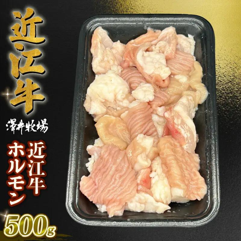 近江牛 ホルモン 500g (250g×2)  黒毛和牛 小分け 牛肉 肉 ギフト 焼肉 焼き肉 自宅用 高級 黒毛和牛 国産 ふるさと納税 ブランド牛 三大和牛 和牛 冷凍 贈り物 内祝い 神戸牛 松阪牛 に並ぶ 日本三大和牛 滋賀県 竜王町 澤井牧場