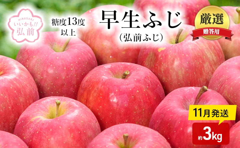 
りんご 【 11月発送 】( 糖度13度以上 ) 贈答用 早生ふじ ( 弘前ふじ ) 約 3kg 【 弘前市産 青森りんご 】
