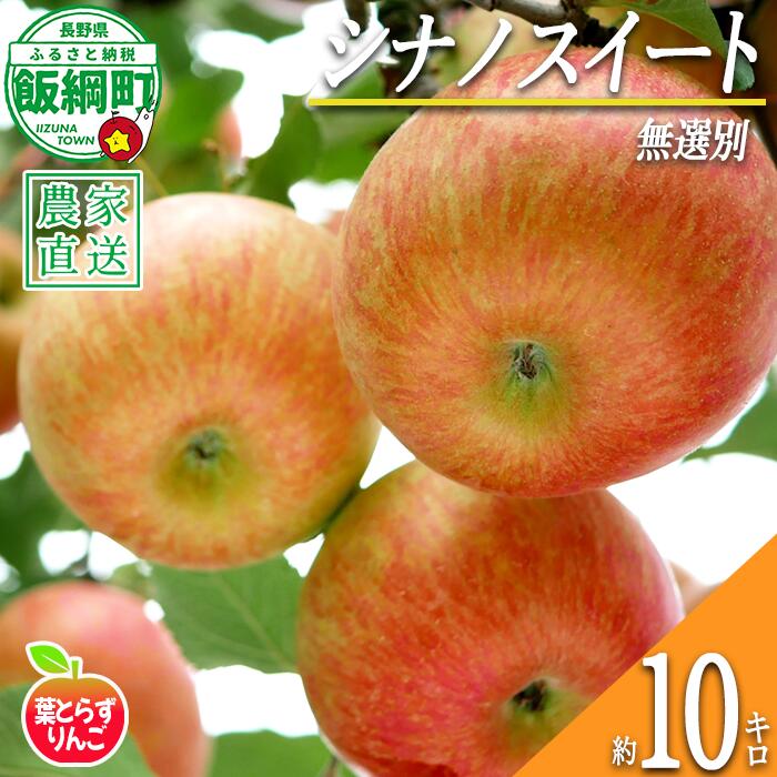 【ふるさと納税】 りんご シナノスイート 葉とらず 無選別 10kg エバラ農園 令和8年度収穫分 長野県 飯綱町 〔 信州 果物 フルーツ リンゴ 林檎 長野 予約 農家直送 〕発送時期：2026年10月中旬〜{**}