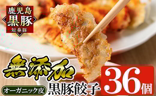 a006 鹿児島黒豚「短鼻豚」餃子セット36個(オーガニック皮使用)【鹿児島ますや】姶良市 ギョーザ 餃子 無添加 惣菜 おかず  おつまみ 冷凍 黒豚 国産野菜 ぎょうざ