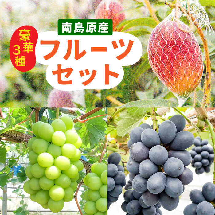 【ふるさと納税】【2回定期便】【2026年7月〜発送】マンゴー ＆ シャインマスカット ＆ ぶどう の豪華セット / フルーツ 果物 ブドウ 葡萄 国産 定期便 フルーツ定期便 / 南島原市 / 松川農園 [SAX004]