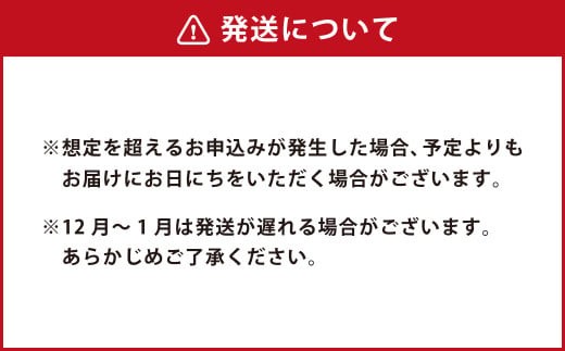 ＜ R8年熊本地震復興支援 ＞【13営業日発送】【野菜飲料初！ジャパンフードセレクション グランプリ受賞】 ジューシー 野菜ジュース ぎゅっと日本の野菜 100％ 125ml×24 合計3L 3000ml 飲料 ジュース 1日分の野菜 にんじん トマト ほうれん草 ピーマン あしたば キャベツ クレソン 紙パック 国産 九州 熊本県 熊本市