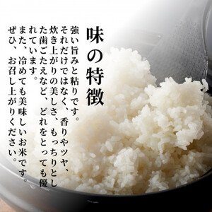 令和5年産 新潟県産 特別栽培米 コシヒカリ 「伊彌彦米」 10kg【1006486】