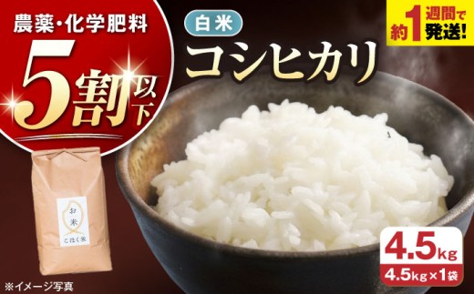 【スピード発送】〈令和7年産米〉湖北産 コシヒカリ(白米) 4.5kg お米 長浜市/株式会社エース物産[AQAK002] 米 お米 白米 米 精米 白米 はくまい こめ こしひかり 米4.5kg 精米 ブランド米 国産 湖北産 滋賀県産 滋賀県 長浜市