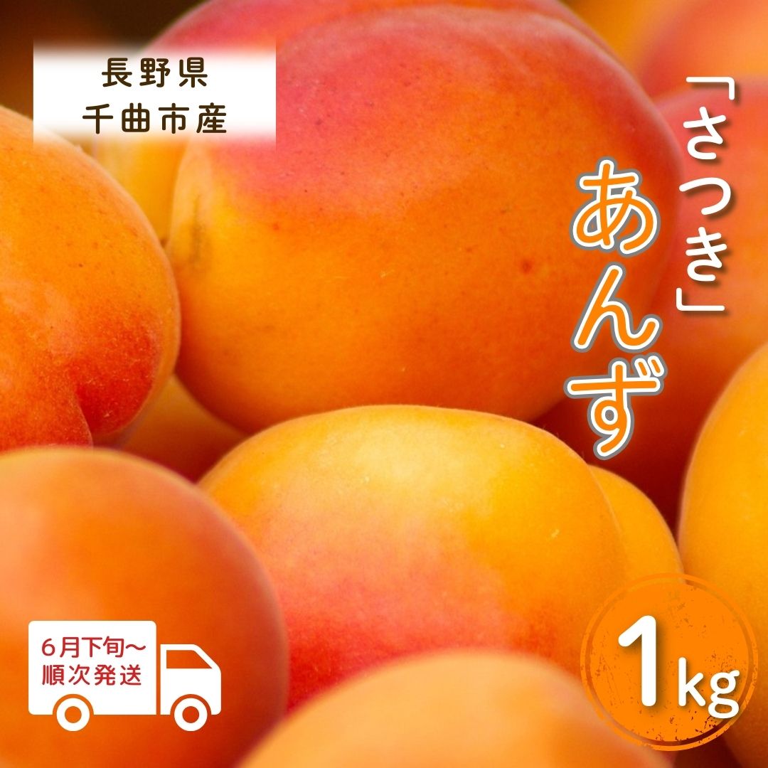 【ふるさと納税】【2026年先行予約】あんず さつき(長野県オリジナル品種) 約1kg 杏子 アプリコット 長野県産 千曲市 信州
