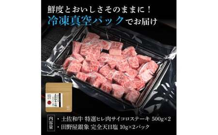 土佐和牛 特選ヒレ肉サイコロステーキ500g×2 田野屋銀象完全天日塩2P付き 1kg 1キロ 特選 長期熟成肉 田野屋銀象 完全天日塩付き ヒレ肉 ステーキ 肉 お肉【株式会社LATERAL】 [B