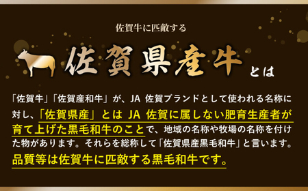 佐賀県産黒毛和牛ヒレステーキ 2枚（計400g） / 国産牛 黒毛和牛 和牛 フィレ / 佐賀県 / 佐嘉ZEYTAKUYA（株式会社弥川畜産）[41AQAA010]