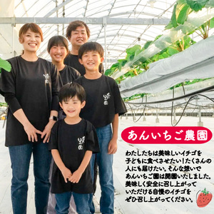 苺ジャム 紅ほっぺ 2本 いちごジャム ｜ ジャム