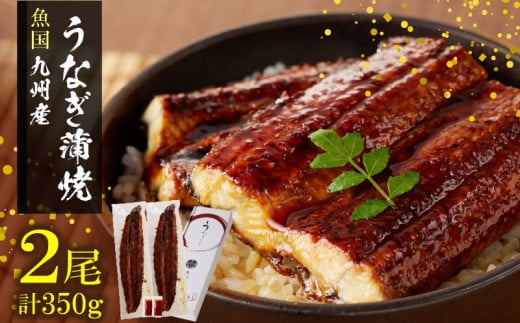 国産うなぎ蒲焼_新鮮 九州産 うなぎ 2尾 計約350g 国産 蒲焼 お土産 お祝い 昭和47年創業 魚国 秘伝のタレ 電子レンジ フライパン うなぎ巻き ひつまぶし ギフト お取り寄せ 福岡県 久留米市 送料無料_Cu023