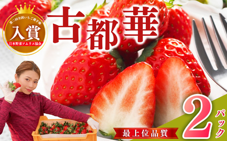大和なでし苺 古都華 約 270g × 2パック （ 1箱 ） |  いちご イチゴ 橋本農園 