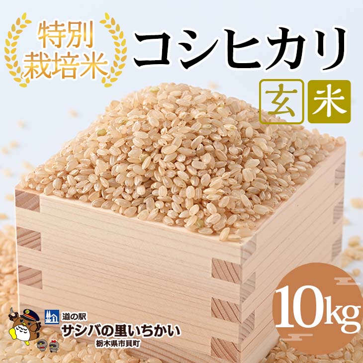 【ふるさと納税】特別栽培米　玄米〈コシヒカリ〉10kg ｜ 国産 栃木県産 コシヒカリ 米 お米 特別栽培米 玄米 栃木米 とちぎ米 産地直送 送料無料 ※離島への配送不可 ※2025年9月中旬頃より順次発送予定