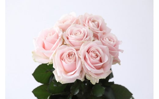 【定期便：12カ月】國枝バラ園から直送！Flower Bouquet（20本の花束）淡いピンク