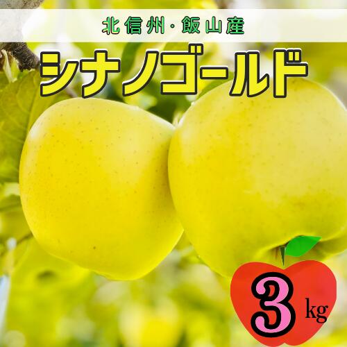 【ふるさと納税】＜先行予約＞シナノゴールド【約3kg(6〜10玉)】＜出荷開始：2025年10月下旬～11月中旬頃＞(7-A25-1)【 りんご フルーツ 長野県 飯山市 ギフト プレゼント 記念日 誕生日 父の日 母の日 敬老の日 記念品 シナノゴールド 就職内祝い 新築内祝い】
