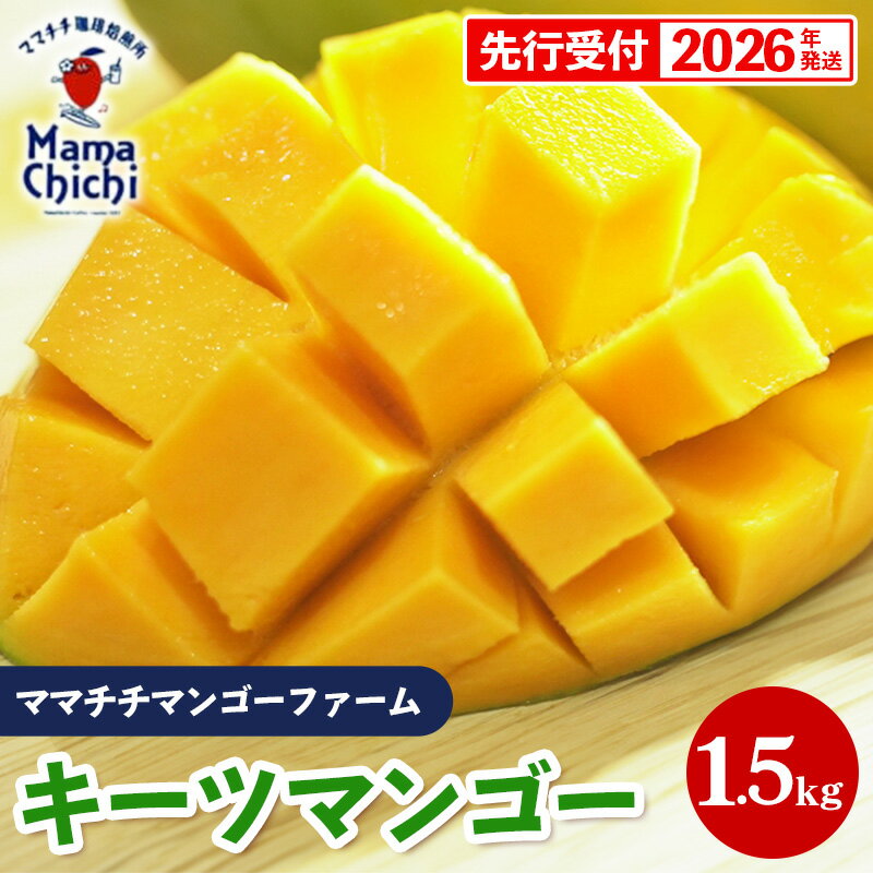 【ふるさと納税】【先行受付】【2026年発送】ママチチマンゴーファームのキーツマンゴー約1.5kg - 先行予約 沖縄 産地直送 南国フルーツ 旬の味覚 沖縄県産 国産マンゴー 希少種 季節の果物 沖縄県 八重瀬町