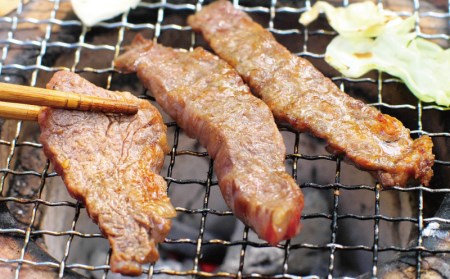 肉 牛肉 牛 鶏肉 小分け 味 焼き肉 焼肉 / 牛タレ仕込味付焼肉 300g×2パック&鶏味付焼肉 塩だれ味 400g×3パック 牛鶏合計1.8kgの焼肉セット【冷凍】【tnk207】