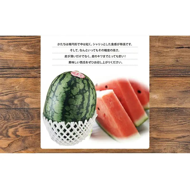 【浜松市産】小玉すいか 姫まくら 4個入 約10kg すいか スイカ 西瓜 果物 くだもの フルーツ プレゼント お中元 糖度 静岡 浜松市【配送不可：離島】 