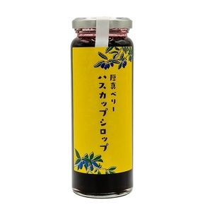 北海道厚真町産ハスカップシロップ3瓶セット【株式会社知熊屋】 [AXBN004]
