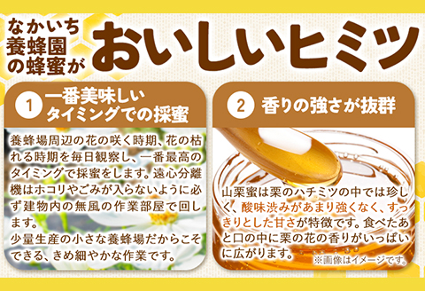 九戸の山栗蜜 天然はちみつ ミニ角瓶 185g 中一養蜂園《30日以内に出荷予定(土日祝除く)》岩手県 九戸村 はちみつ 蜂蜜 国産---isk_nkygmini_30d_23_8500---