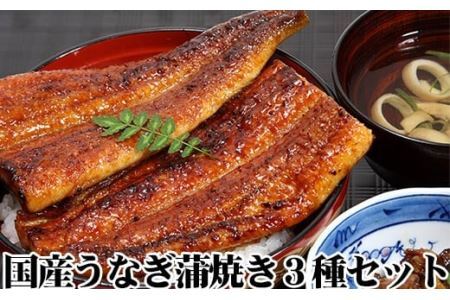 国産うなぎ蒲焼3種セット(B6-1)