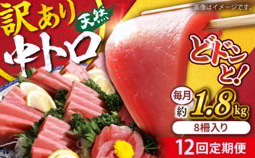 【全12回定期便】【訳あり】天然 まぐろ 中トロ メバチ 計約1.8kg (8柵入り) マグロ 定期 鮪 まぐろ 中とろ 刺身  定期便【横須賀商工会議所 おもてなしギフト事務局（本まぐろ直売所）】 [AKAK055]