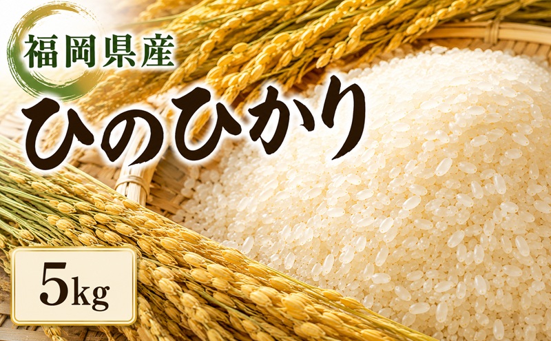 米 ひのひかり 5kg 筑前あさくら農協 お米 ヒノヒカリ