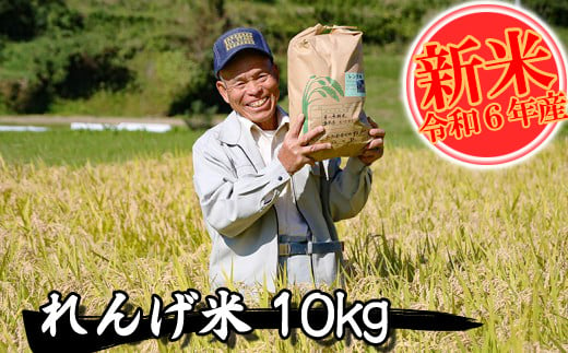 【令和6年産】れんげ米 白米 10㎏ 精米 熊本県 南関町産 単一原料米 ヒノヒカリ 産地直送 コメ お米 レンゲ農法