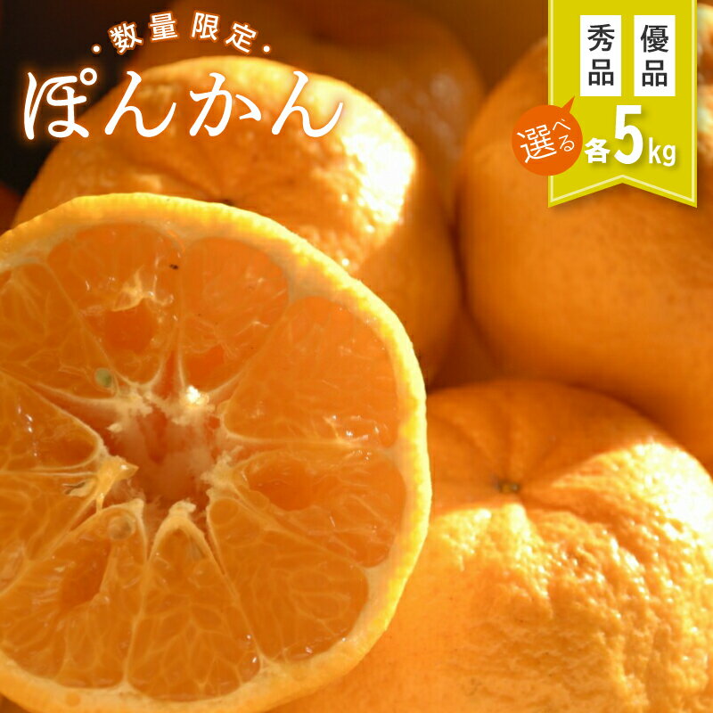 【ふるさと納税】 ポンカン 5kg 秀品 優品 早生 低しょう系 浦ノ内 ポンカン 【2026年1月より順次発送】 柑橘 フルーツ みかん くだもの 果物 ぽんかん ふるさと納税ぽんかん ふるさと納税柑橘 ふるさと納税みかん 早期予約 期間限定 数量限定 旬 産地直送 先行予約
