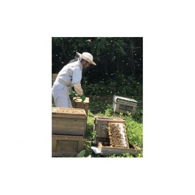 ふるさと納税 恵那市 恵那蜂蜜3本ギフト箱入りセット(蓮華蜂蜜300g3本) |  | 02