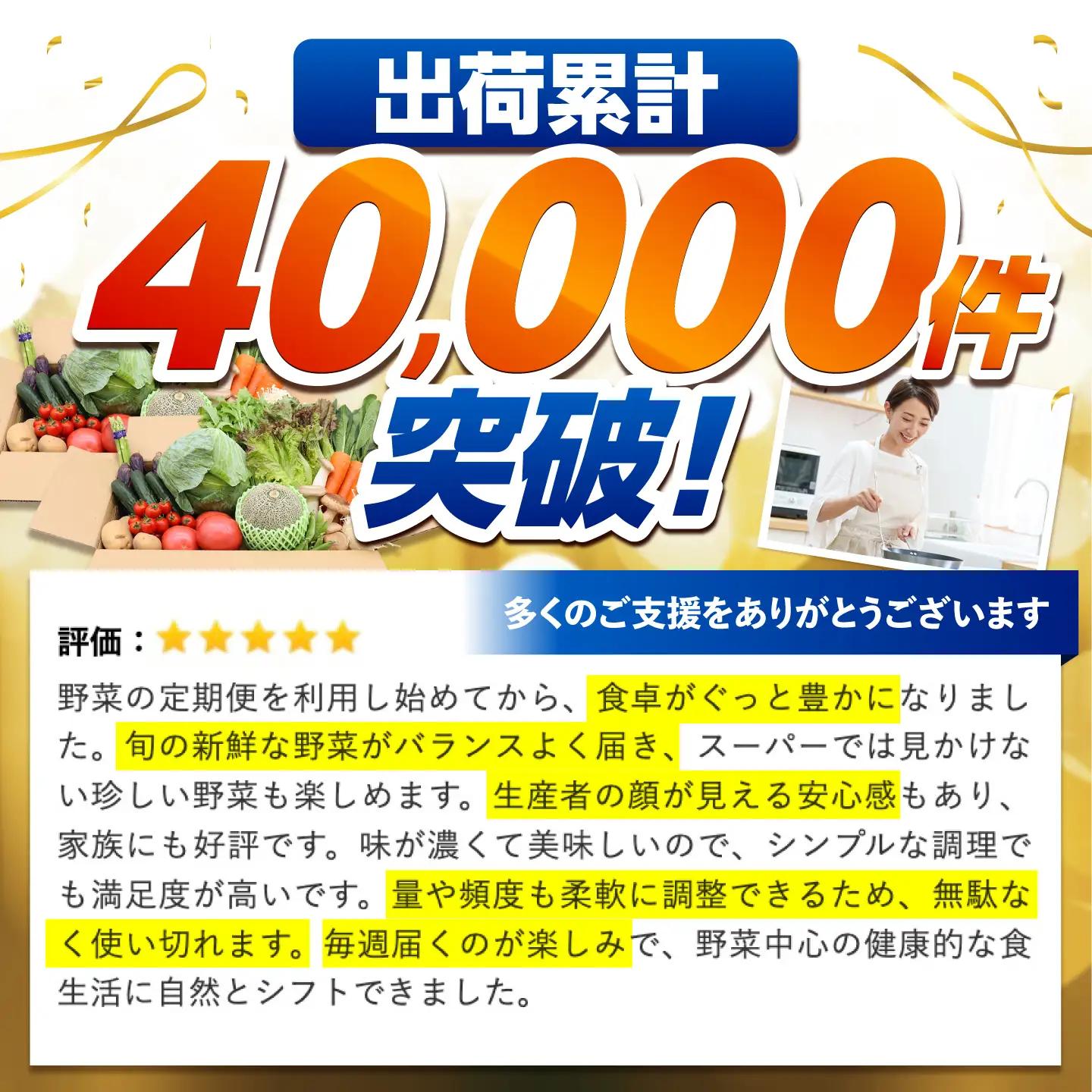 【12回】野菜定期便 15品目 野菜セット [SCZ019]