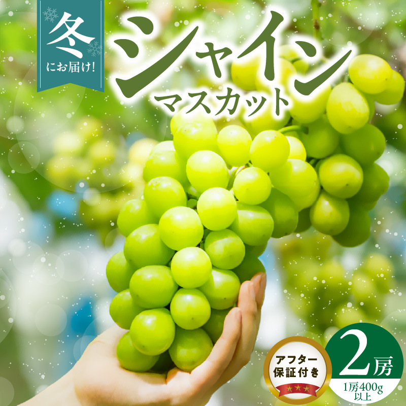【2025年11月よりお届け】冬にお届け！シャインマスカット×2房_冬にお届け！ シャインマスカット 400g以上 × 2房 冷蔵技術 冬でも美味しい 皮ごと食べる 贈答用 おすすめ 国産 ぶどう マスカット 果物 フルーツ 果実 食品 食べ物 おやつ デザート グルメ お取り寄せ お取り寄せグルメ 福岡県 久留米市 送料無料_Fg011