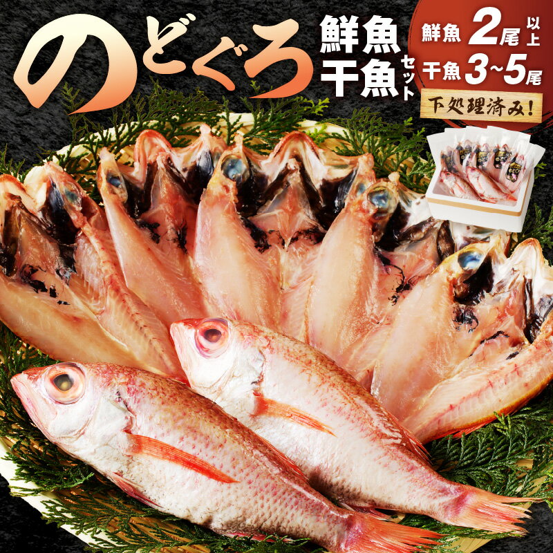 【ふるさと納税】のどぐろの鮮魚と干魚のコラボセット 魚介類 魚介 魚 のどぐろ 干物 鮮魚 一夜干し お刺身 セット ふるさと納税 のどくろ 【096_1696】