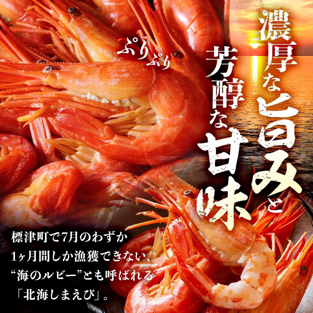【北海しまえび】特大 500g えび 【AH】