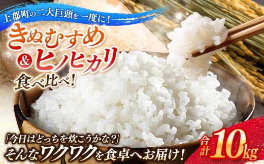 令和7年産 上郡町からのお米食べ比べセット きぬむすめ5kg・ヒノヒカリ5kg | お米 きぬむすめ ヒノヒカリ 定期便 千種川 農家 和食 炊きたて 万能 安心 安全 産地直送 おいしい グルメ こだわり 逸品 国産 兵庫県 上郡町