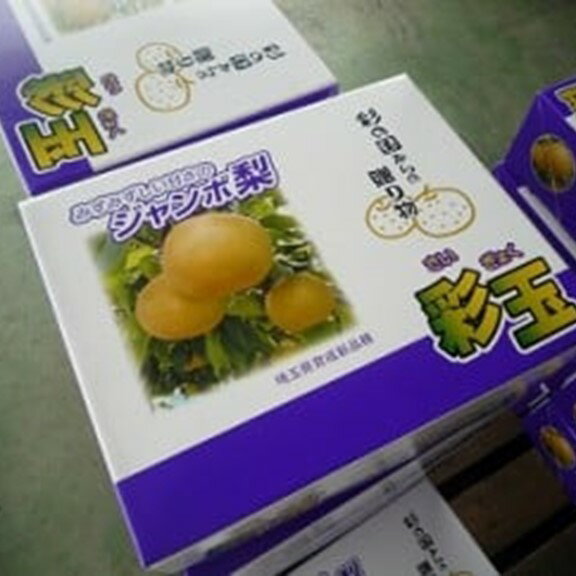 【ふるさと納税】期間限定 埼玉県オリジナル品種　騎西の梨「彩玉」