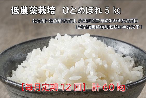 
《 新米先行予約 》【毎月定期12回】令和6年産米 低農薬栽培米 ひとめぼれ 5kg
