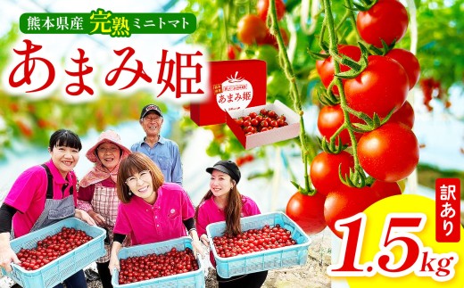 【訳あり】 熊本県産 完熟ミニトマト「あまみ姫」1.5kg | 野菜 やさい トマト とまと 人気  生産者直送 産地直送 熊本県 玉名市